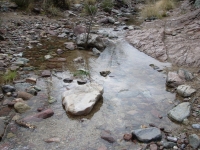 Water along the Creek